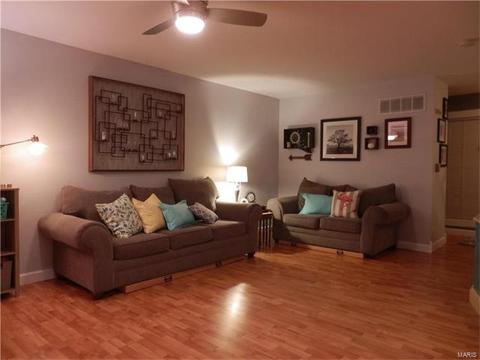 249 Coachman Way, O'fallon, MO 63368 photo 4