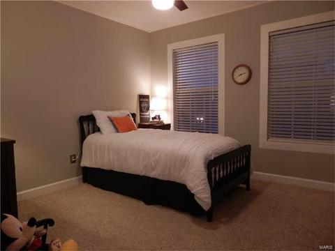 249 Coachman Way, O'fallon, MO 63368 photo 22