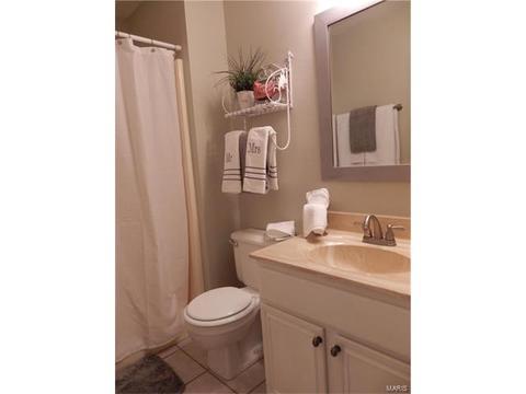 249 Coachman Way, O'fallon, MO 63368 photo 17