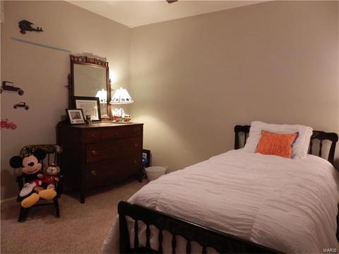 249 Coachman Way, O'fallon, MO 63368 photo 23