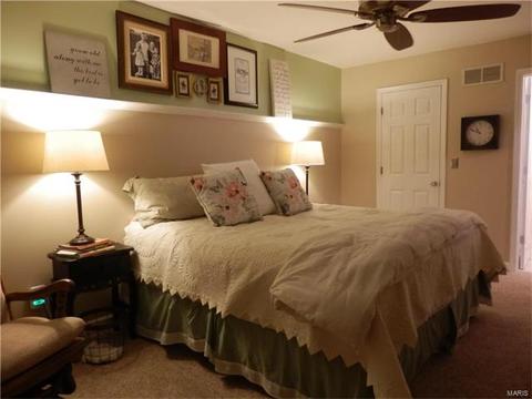249 Coachman Way, O'fallon, MO 63368 photo 14