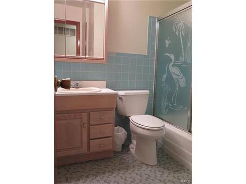 4100 Scotch, Bridgeton, MO 63044 photo 10
