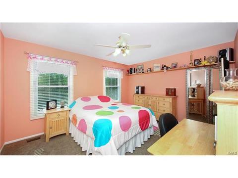 14 Timber Ridge Estates Ct, Ballwin, MO 63011 photo 30