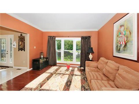 14 Timber Ridge Estates Ct, Ballwin, MO 63011 photo 7