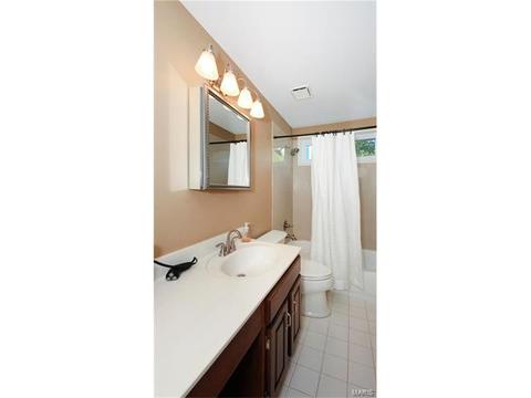 14 Timber Ridge Estates Ct, Ballwin, MO 63011 photo 31