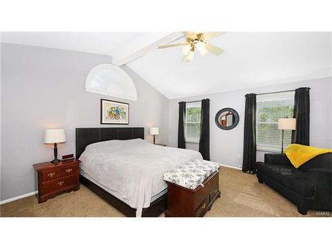 14 Timber Ridge Estates Ct, Ballwin, MO 63011 photo 24