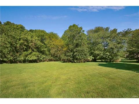 14 Timber Ridge Estates Ct, Ballwin, MO 63011 photo 3