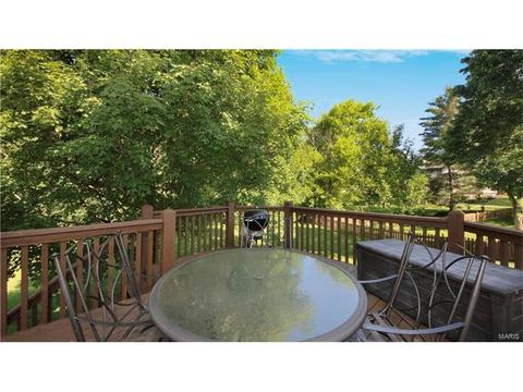 14 Timber Ridge Estates Ct, Ballwin, MO 63011 photo 19