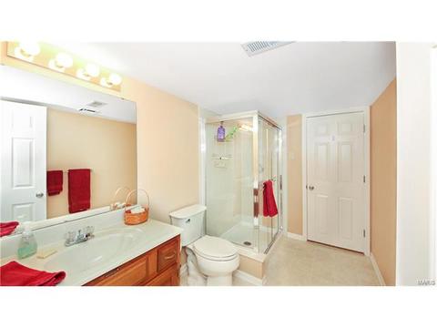 14 Timber Ridge Estates Ct, Ballwin, MO 63011 photo 37