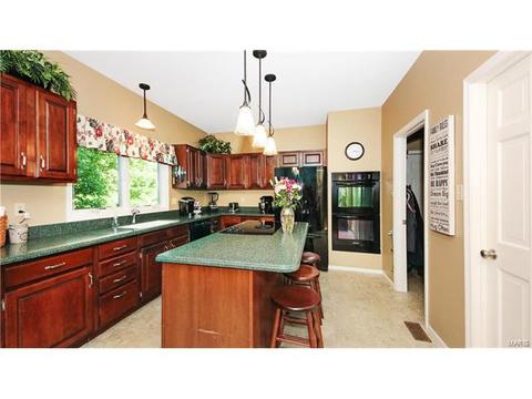 14 Timber Ridge Estates Ct, Ballwin, MO 63011 photo 14