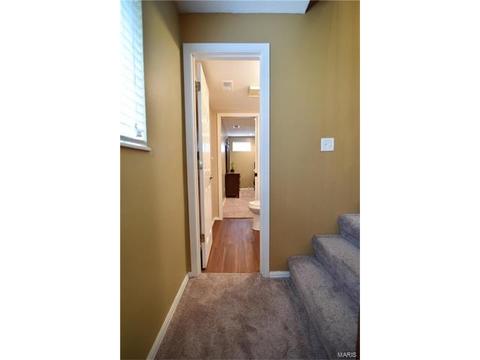 513 Treetop Trail Dr, Ballwin, MO 63021 photo 35