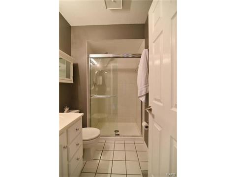 513 Treetop Trail Dr, Ballwin, MO 63021 photo 22