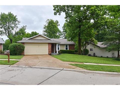 513 Treetop Trail Dr, Ballwin, MO 63021 photo 41