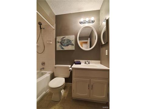 513 Treetop Trail Dr, Ballwin, MO 63021 photo 17
