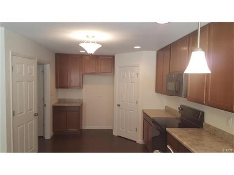 5222 Eagle Wing Ct, Eureka, MO 63025 photo 4