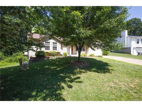 15 Windstone Ct, O'fallon, MO 63366 photo 40