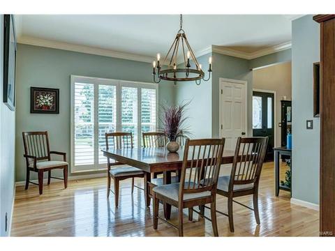 1623 Carman Manor Ct, Manchester, MO 63021 photo 17