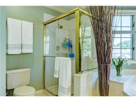 1623 Carman Manor Ct, Manchester, MO 63021 photo 24