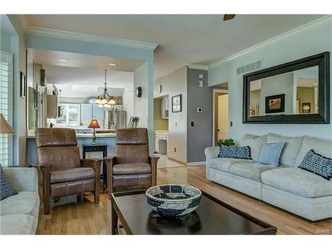 1623 Carman Manor Ct, Manchester, MO 63021 photo 9
