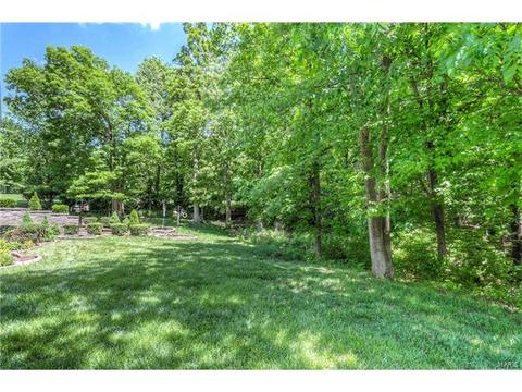 1512 Mammoth Dr, O'fallon, MO 63366 photo 46