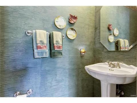 1512 Mammoth Dr, O'fallon, MO 63366 photo 16