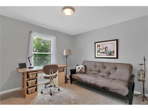 665 Meramec View Dr, Eureka, MO 63025 photo 20