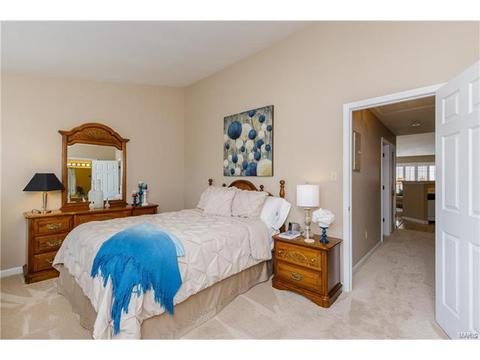 35 Timber Oaks Trl, O'fallon, MO 63368 photo 5