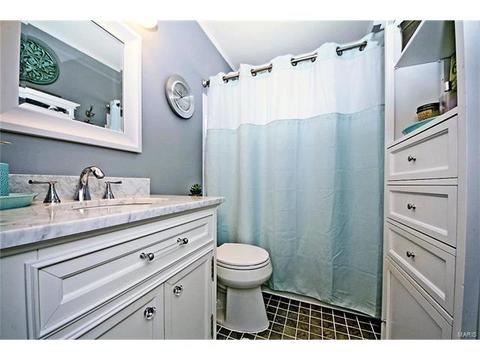 969 Beacon Woods Ct, Ballwin, MO 63021 photo 16