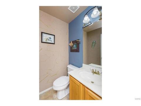 2 Shaker Leg Ct, O'fallon, MO 63366 photo 43