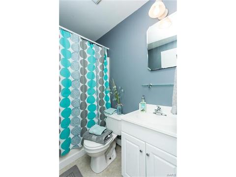 1013 Waterman, Ballwin, MO 63021 photo 22