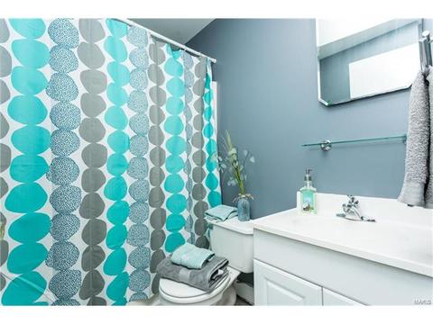 1013 Waterman, Ballwin, MO 63021 photo 23