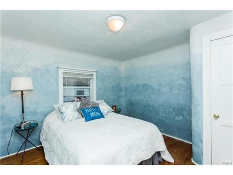1013 Waterman, Ballwin, MO 63021 photo 8