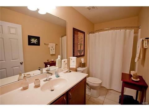 1101 Spring Orchard Dr, O'fallon, MO 63368 photo 17