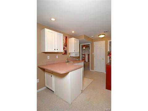 1209 Oak Borough, Ballwin, MO 63021 photo 33