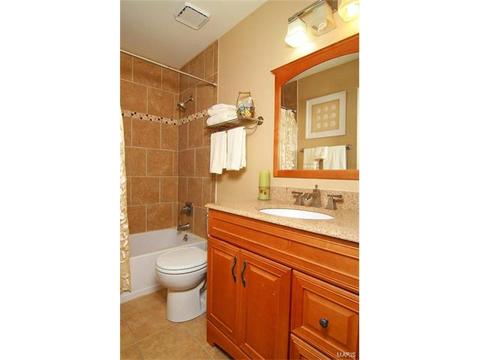 1209 Oak Borough, Ballwin, MO 63021 photo 30