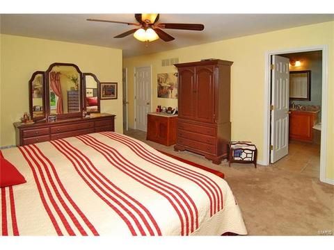 1209 Oak Borough, Ballwin, MO 63021 photo 24
