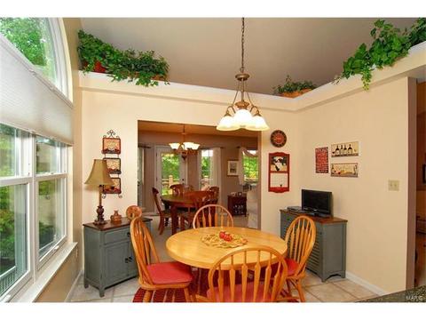 1209 Oak Borough, Ballwin, MO 63021 photo 17