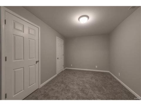 161 Shinstock Ln, O'fallon, MO 63366 photo 25