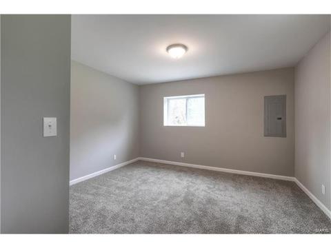 161 Shinstock Ln, O'fallon, MO 63366 photo 27