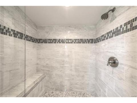 161 Shinstock Ln, O'fallon, MO 63366 photo 19