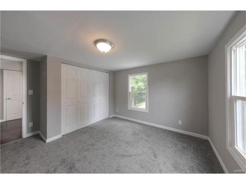 161 Shinstock Ln, O'fallon, MO 63366 photo 20