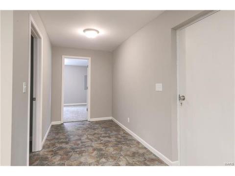 161 Shinstock Ln, O'fallon, MO 63366 photo 26