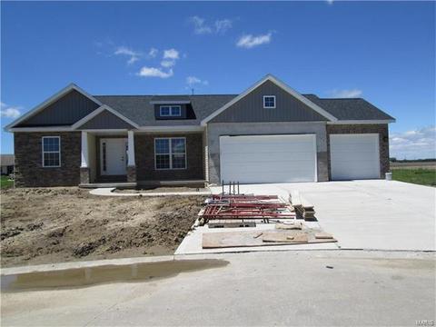 263 Stetson, Hamel, IL 62046 photo 1