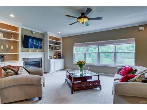 1373 Red Oak Plantation Dr, Ballwin, MO 63021 photo 8