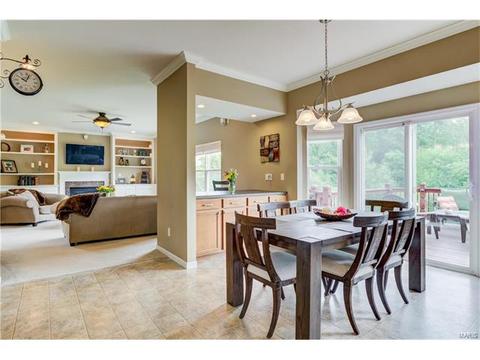 1373 Red Oak Plantation Dr, Ballwin, MO 63021 photo 16
