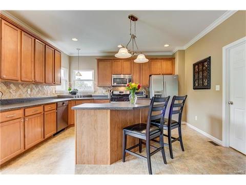 1373 Red Oak Plantation Dr, Ballwin, MO 63021 photo 17