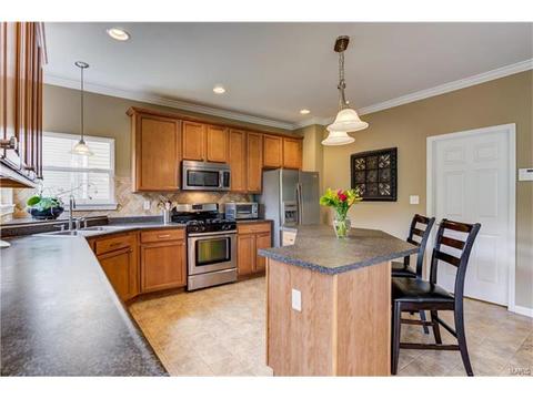 1373 Red Oak Plantation Dr, Ballwin, MO 63021 photo 18