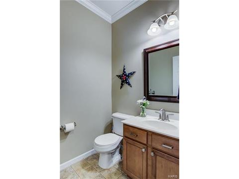 1373 Red Oak Plantation Dr, Ballwin, MO 63021 photo 23