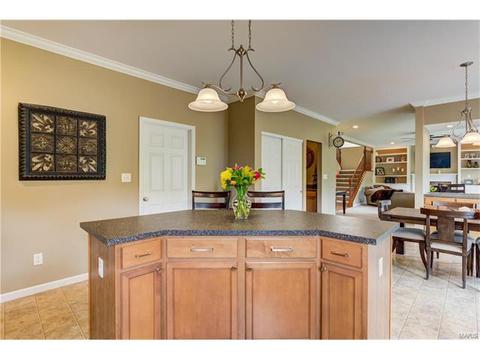 1373 Red Oak Plantation Dr, Ballwin, MO 63021 photo 20
