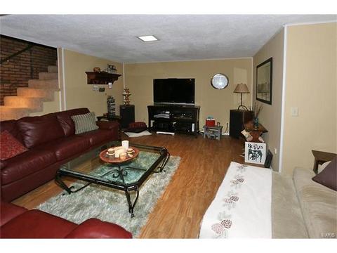 1724 Tralee Ln, Ballwin, MO 63021 photo 22